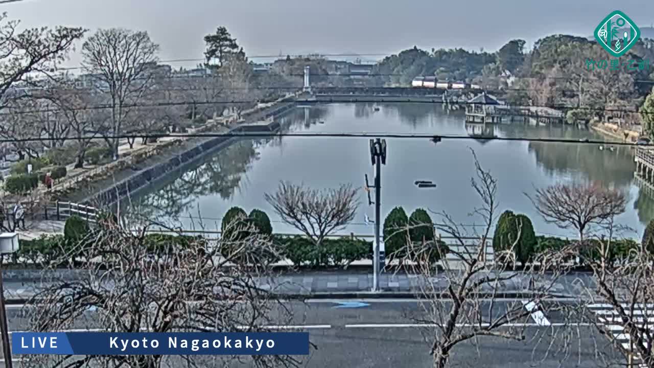 Kyoto, Nagaokakyo Hachijogaike Pond & Nagaoka Tenmangu Shrine Garden ( 京都、長岡京市の八条ヶ池と長岡天満宮庭園 ) Live Cam - 4 Chome, Tenjin, Nagaokakyo, Kyoto, Kyōto, Kansai, Japan