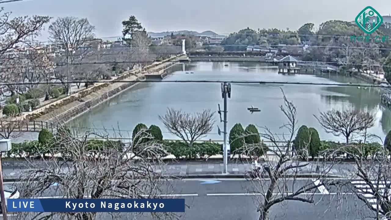 Kyoto, Nagaokakyo Hachijogaike Pond & Nagaoka Tenmangu Shrine Garden ( 京都、長岡京市の八条ヶ池と長岡天満宮庭園 ) Live Cam - 4 Chome, Tenjin, Nagaokakyo, Kyoto, Kyōto, Kansai, Japan