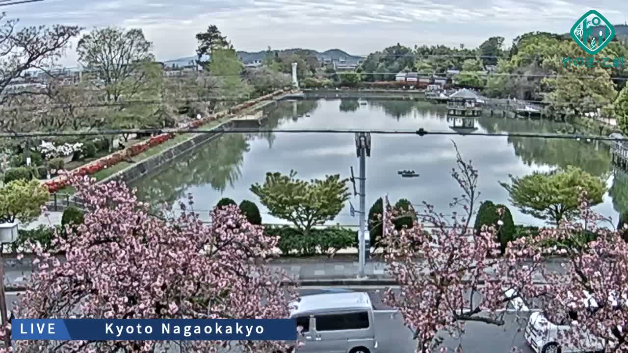 Kyoto, Nagaokakyo Hachijogaike Pond & Nagaoka Tenmangu Shrine Garden ( 京都、長岡京市の八条ヶ池と長岡天満宮庭園 ) Live Cam - 4 Chome, Tenjin, Nagaokakyo, Kyoto, Kyōto, Kansai, Japan