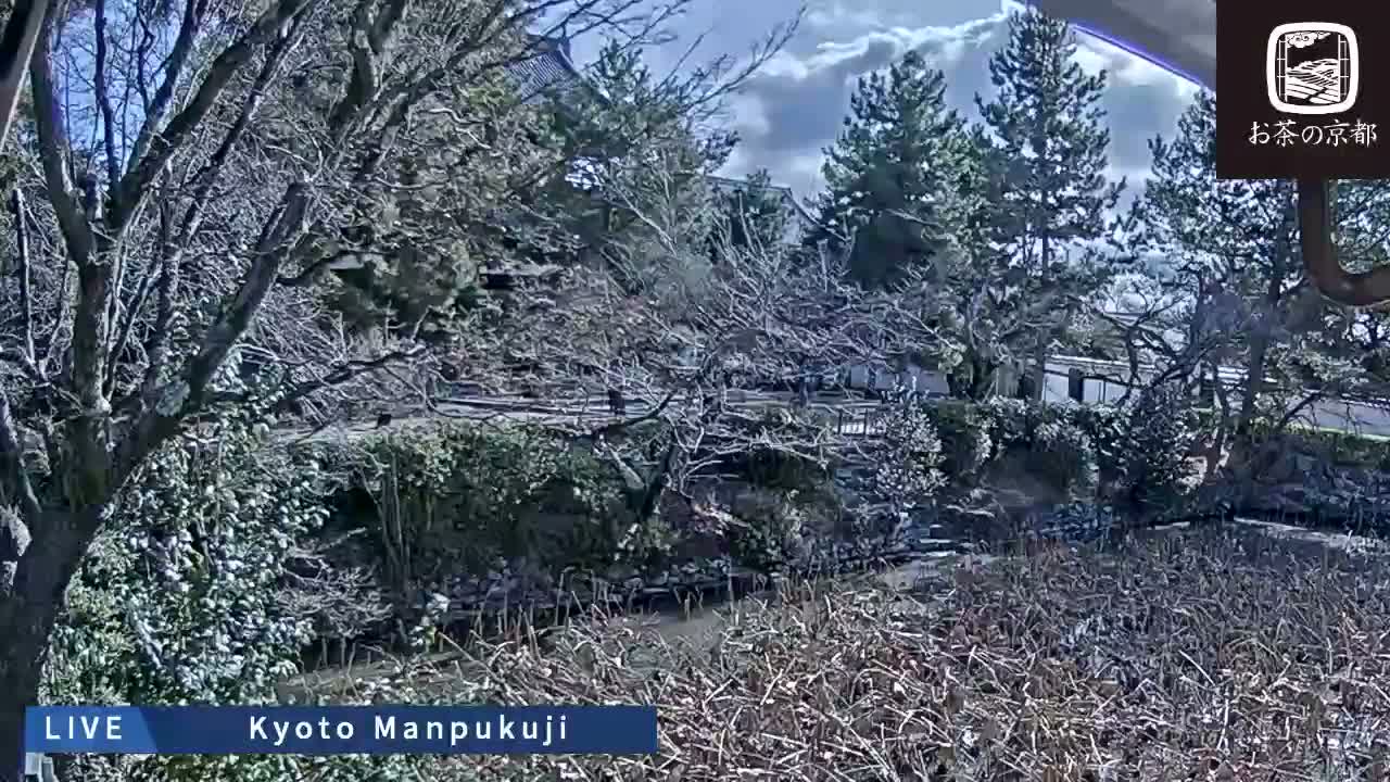 Kyoto, Uji Manpuku-ji Temple ( 京都・宇治萬福寺 )Live Cam - Sanbanwari Gokasho, Uji, Kyoto, Kyōto, Kansai, Japan