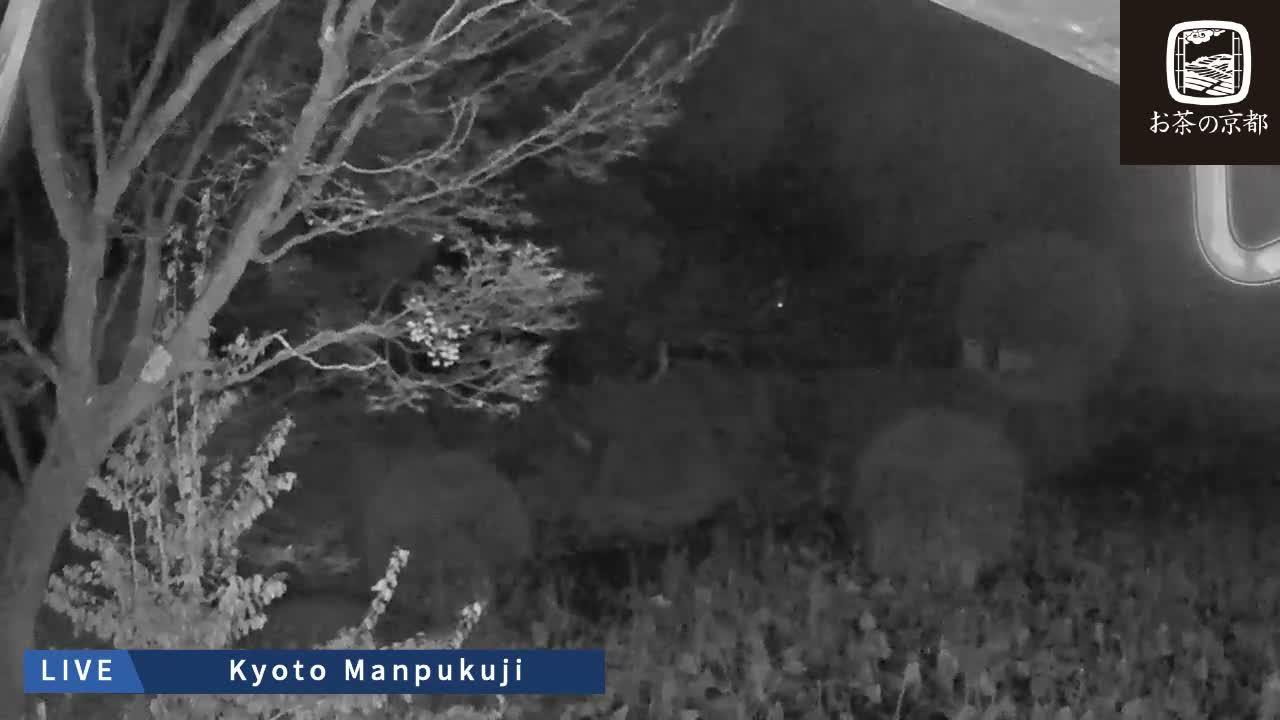 Kyoto, Uji Manpuku-ji Temple ( 京都・宇治萬福寺 )Live Cam - Sanbanwari Gokasho, Uji, Kyoto, Kyōto, Kansai, Japan