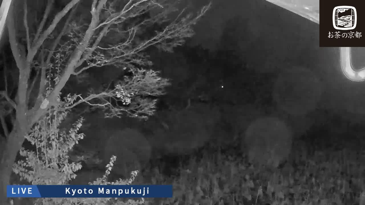 Kyoto, Uji Manpuku-ji Temple ( 京都・宇治萬福寺 )Live Cam - Sanbanwari Gokasho, Uji, Kyoto, Kyōto, Kansai, Japan