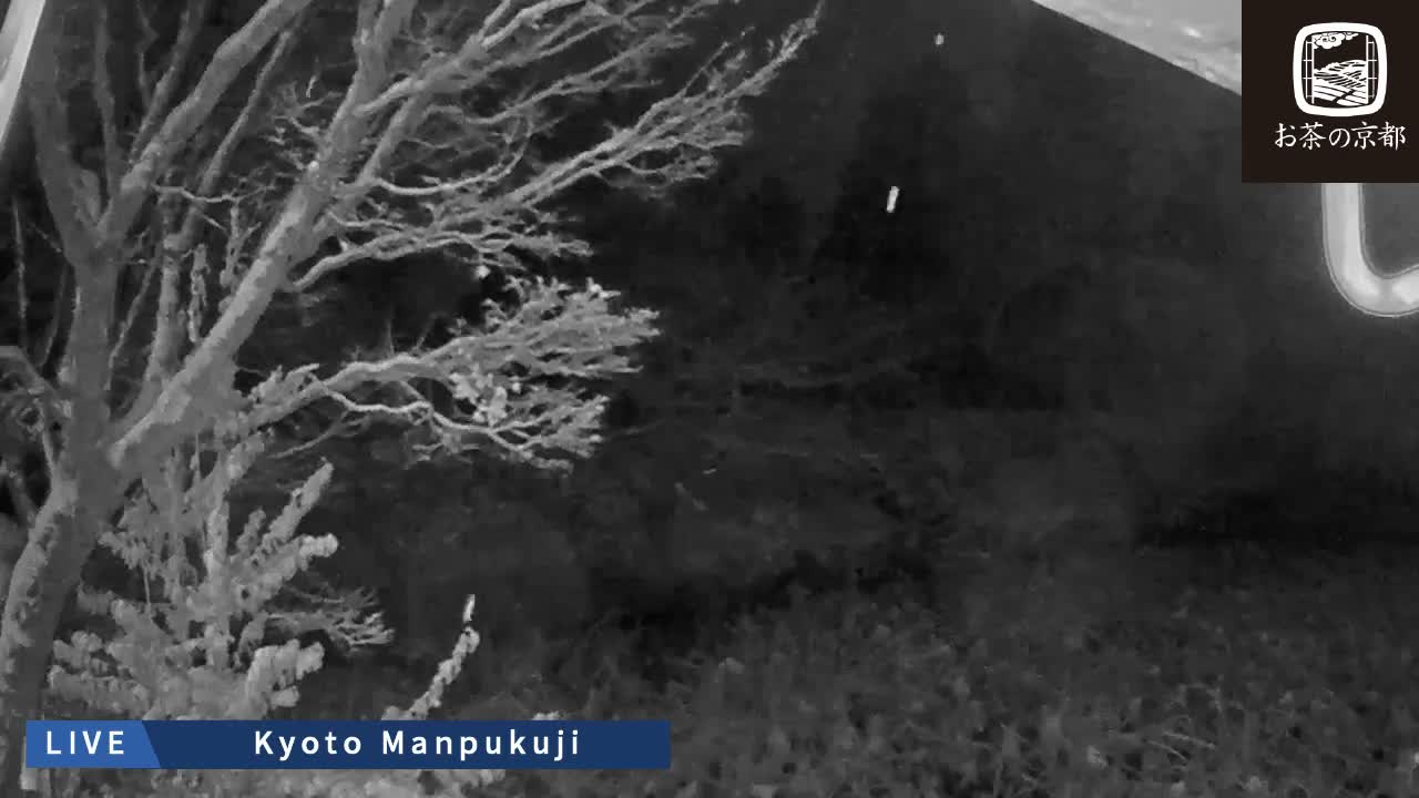 Kyoto, Uji Manpuku-ji Temple ( 京都・宇治萬福寺 )Live Cam - Sanbanwari Gokasho, Uji, Kyoto, Kyōto, Kansai, Japan