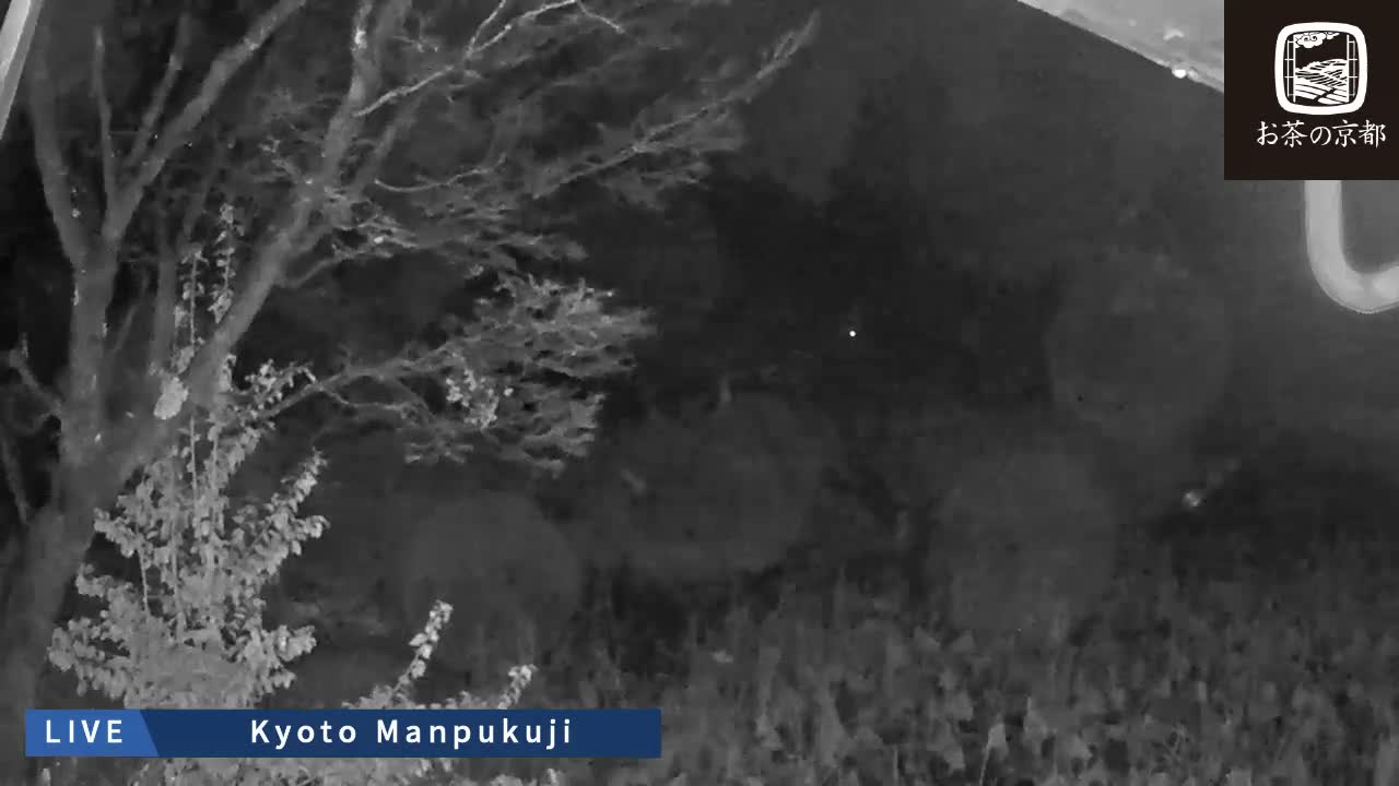 Kyoto, Uji Manpuku-ji Temple ( 京都・宇治萬福寺 )Live Cam - Sanbanwari Gokasho, Uji, Kyoto, Kyōto, Kansai, Japan