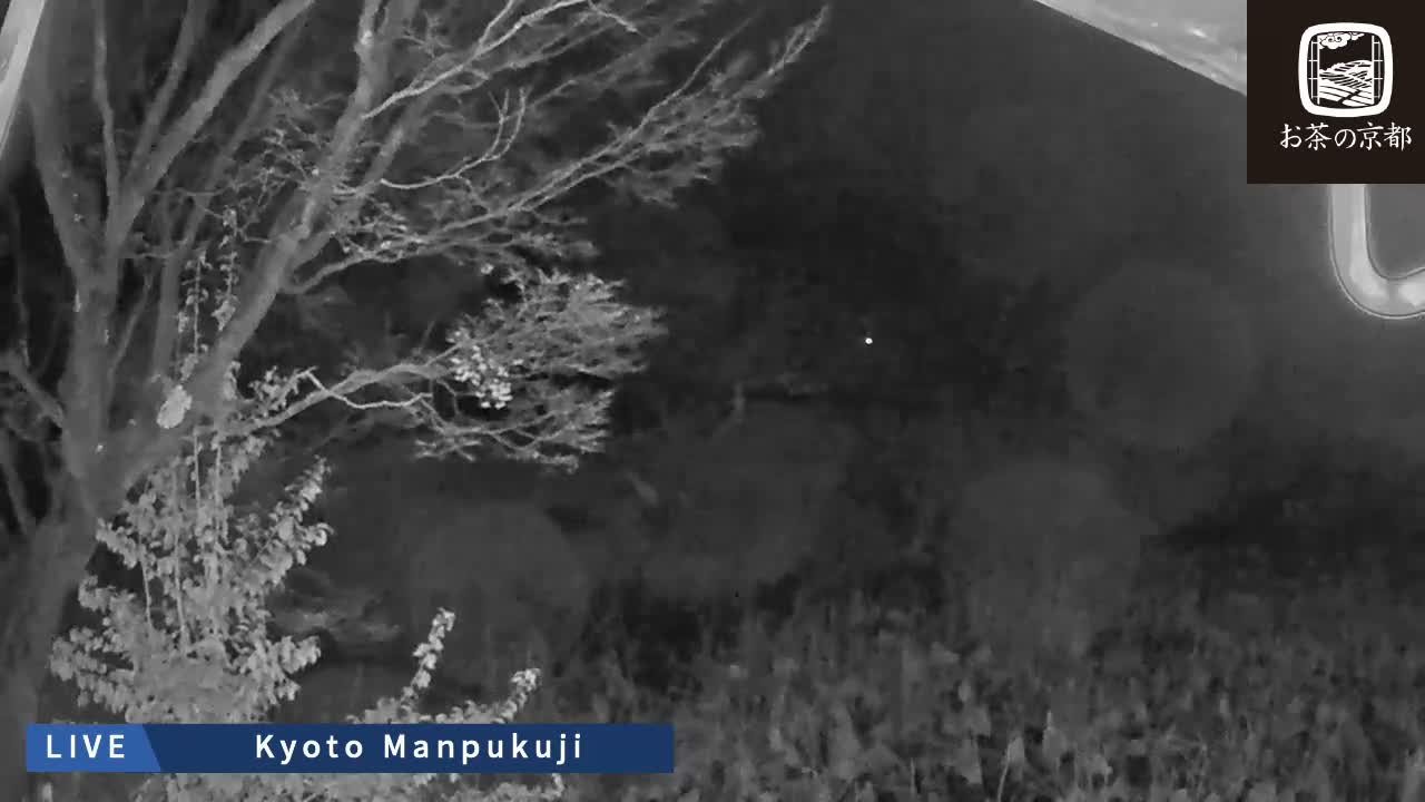 Kyoto, Uji Manpuku-ji Temple ( 京都・宇治萬福寺 )Live Cam - Sanbanwari Gokasho, Uji, Kyoto, Kyōto, Kansai, Japan