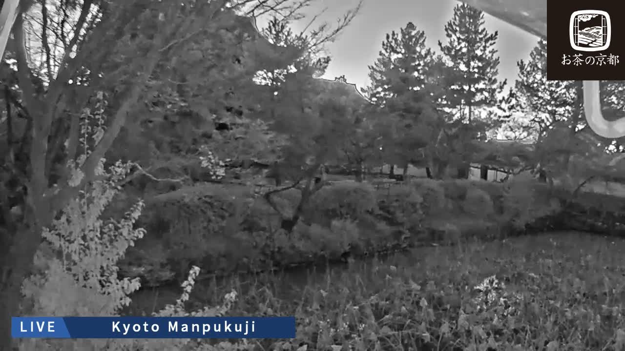 Kyoto, Uji Manpuku-ji Temple ( 京都・宇治萬福寺 )Live Cam - Sanbanwari Gokasho, Uji, Kyoto, Kyōto, Kansai, Japan