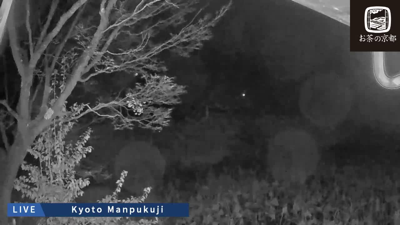 Kyoto, Uji Manpuku-ji Temple ( 京都・宇治萬福寺 )Live Cam - Sanbanwari Gokasho, Uji, Kyoto, Kyōto, Kansai, Japan