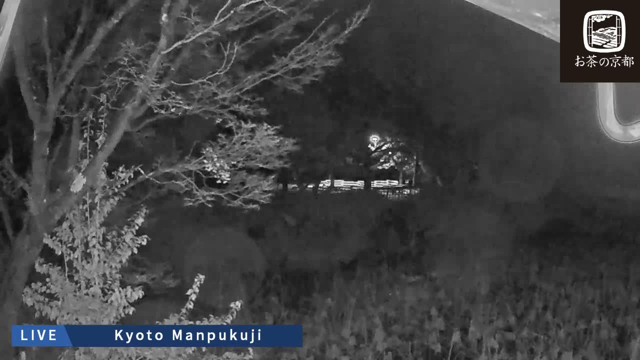 Kyoto, Uji Manpuku-ji Temple ( 京都・宇治萬福寺 )Live Cam - Sanbanwari Gokasho, Uji, Kyoto, Kyōto, Kansai, Japan