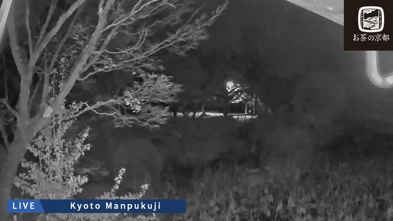 Kyoto, Uji Manpuku-ji Temple ( 京都・宇治萬福寺 )Live Cam - Sanbanwari Gokasho, Uji, Kyoto, Kyōto, Kansai, Japan