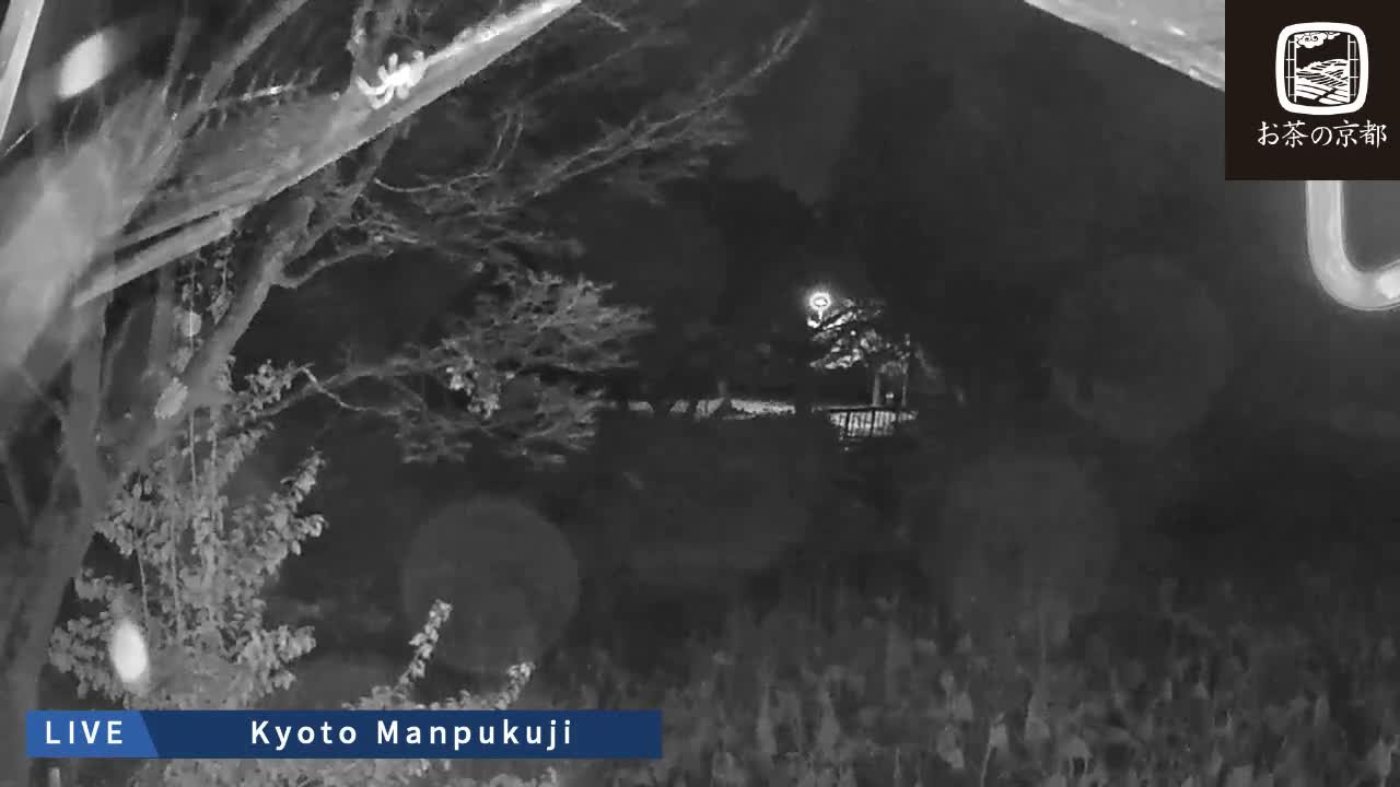 Kyoto, Uji Manpuku-ji Temple ( 京都・宇治萬福寺 )Live Cam - Sanbanwari Gokasho, Uji, Kyoto, Kyōto, Kansai, Japan