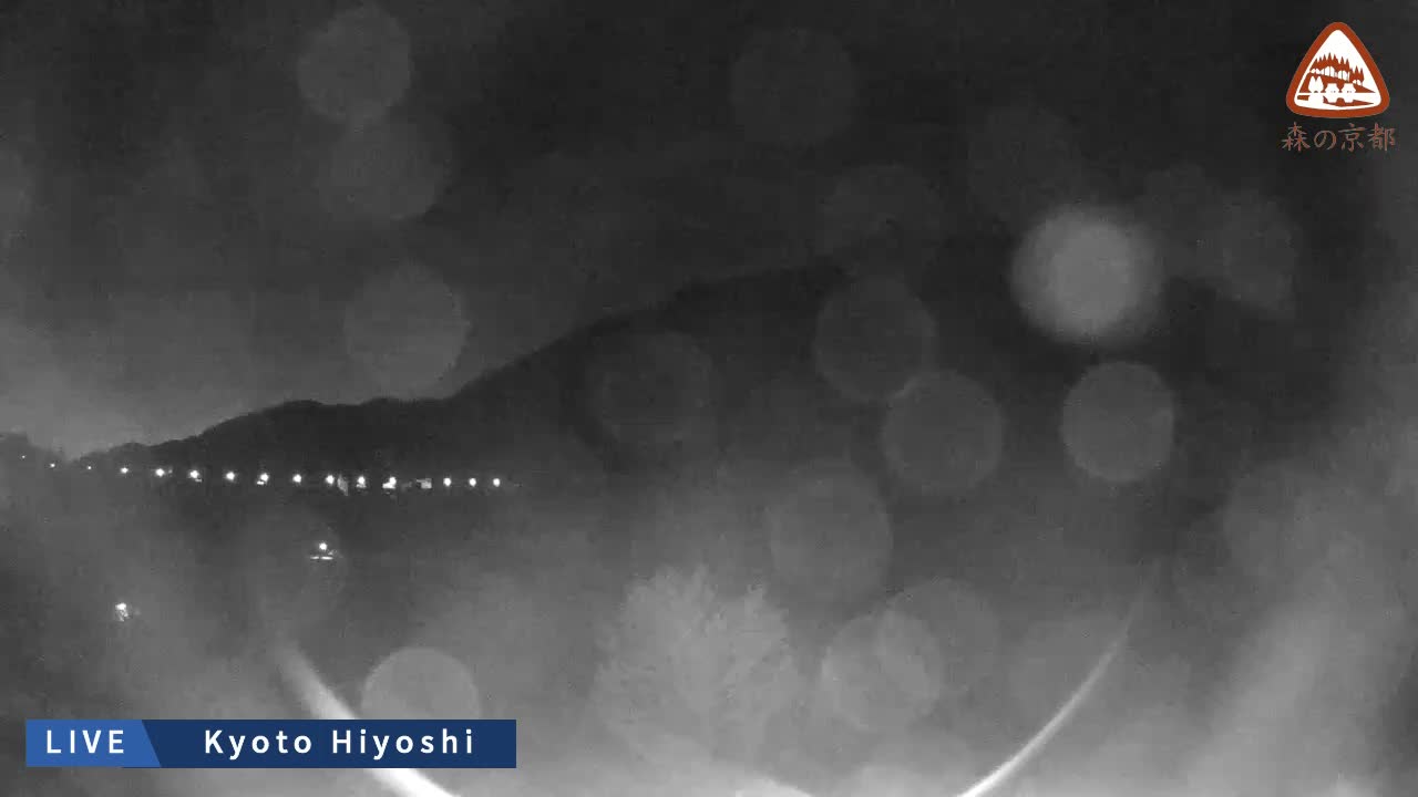 A blurry night scene reveals numerous bright, streaking lights, likely from vehicles and distant streetlights, obscured by what appears to be heavy rain or snow.