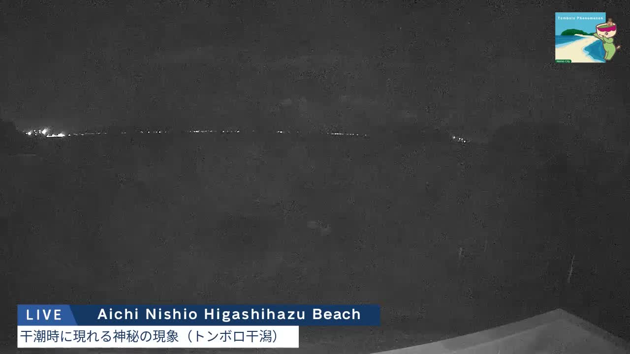 The image displays a dark, grainy nighttime view of a body of water, possibly a bay or sea, with faint scattered lights visible along a distant shoreline or horizon under what appears to be a clear or overcast sky.