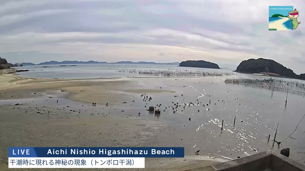 Aichi, Nishio Higashi-hazu Beach Maejima Island & Mikawa Bay ( 愛知県 西尾市 東幡豆海岸 前島と三河湾 )  Live Cam - Shinden, Hazu, Nishio, Aichi, Chubu, Honshu, Japan