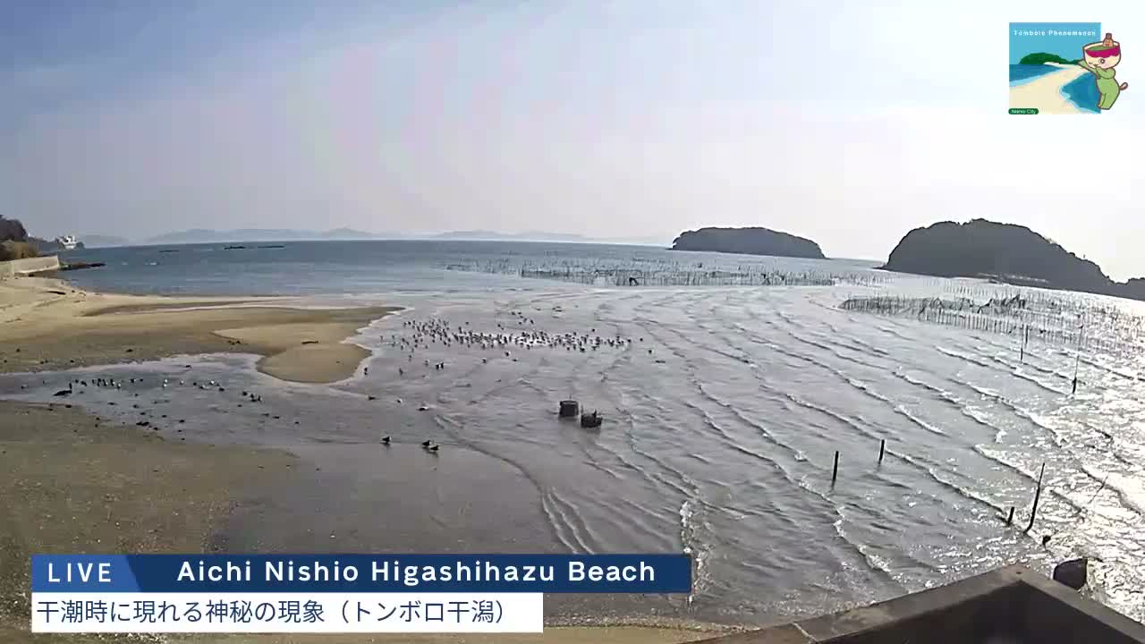 Aichi, Nishio Higashi-hazu Beach Maejima Island & Mikawa Bay ( 愛知県 西尾市 東幡豆海岸 前島と三河湾 )  Live Cam - Shinden, Hazu, Nishio, Aichi, Chubu, Honshu, Japan