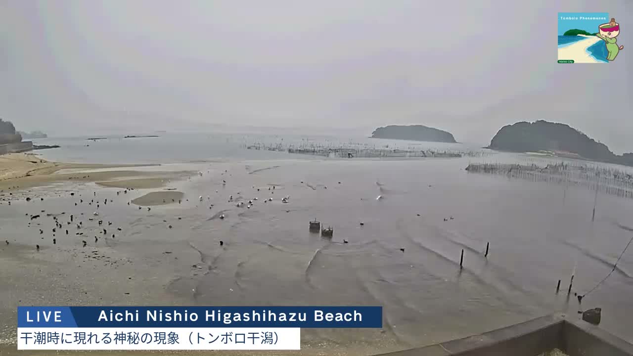 Aichi, Nishio Higashi-hazu Beach Maejima Island & Mikawa Bay ( 愛知県 西尾市 東幡豆海岸 前島と三河湾 )  Live Cam - Shinden, Hazu, Nishio, Aichi, Chubu, Honshu, Japan