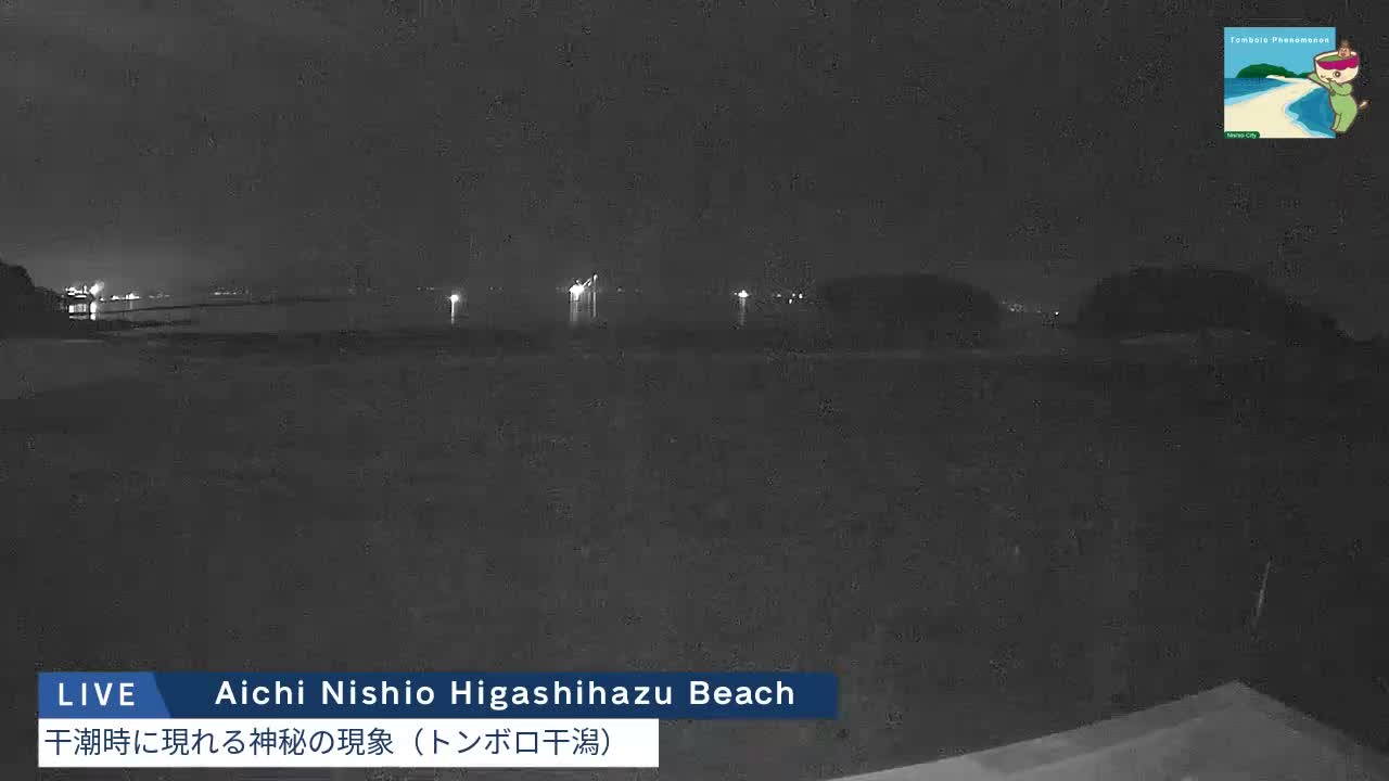 The image displays a dark, grainy nighttime view of a body of water, possibly a bay or sea, with faint scattered lights visible along a distant shoreline or horizon under what appears to be a clear or overcast sky.