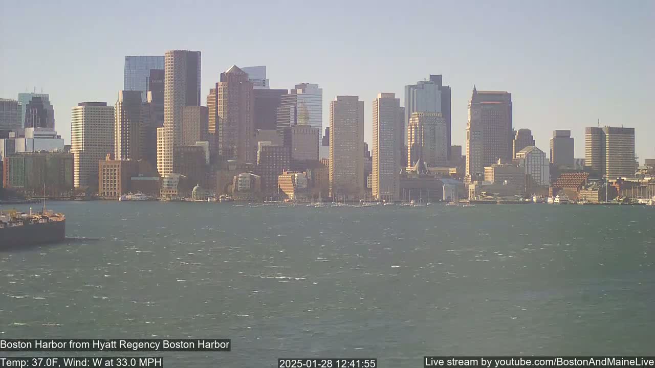 A city skyline with numerous skyscrapers is seen across a body of water with a moderate chop under a clear, sunny sky.