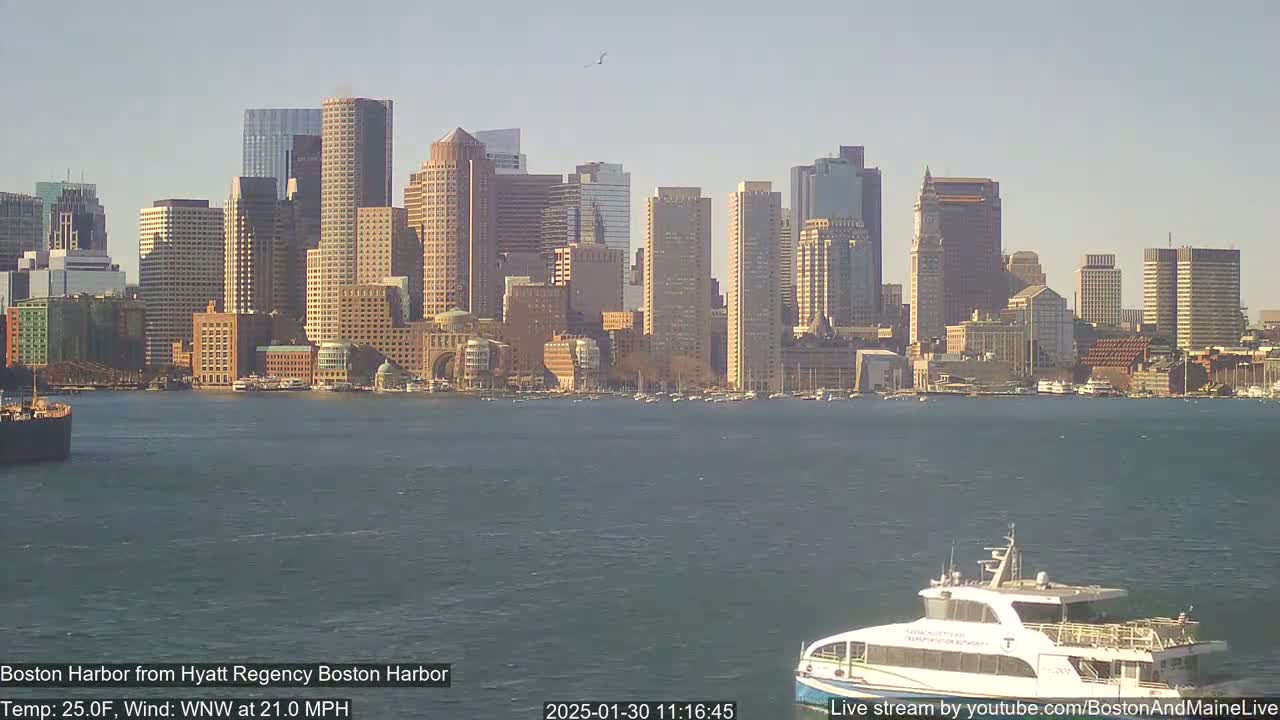 A ferry approaches a city skyline across a choppy harbor on a sunny, but windy, day.