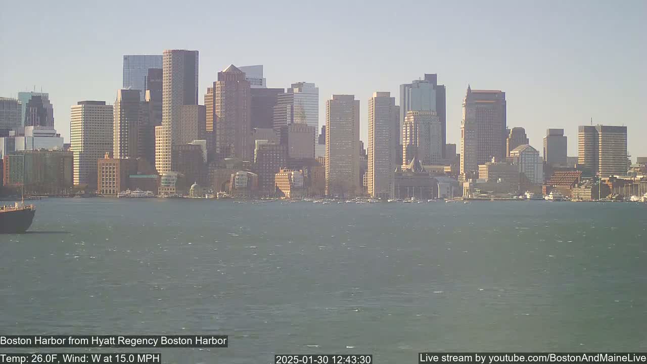 A city skyline with numerous skyscrapers is visible across a choppy body of water under a clear, bright sky.