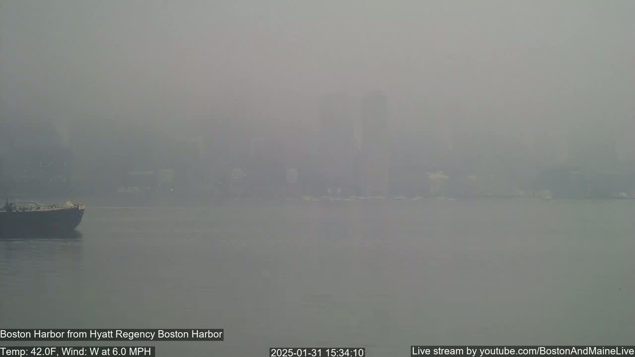 A hazy, foggy harbor scene shows a distant cityscape and a boat in the foreground.