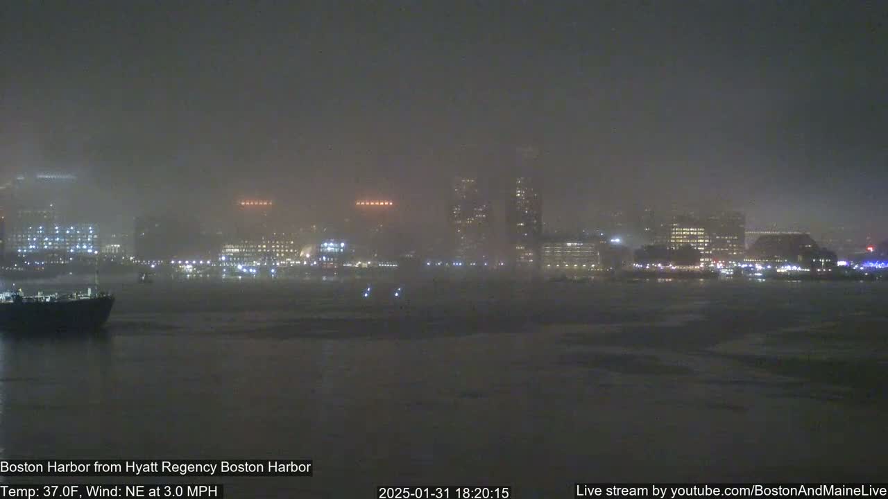 A nighttime view of a foggy city harbor with partially frozen water, showing a distant cityscape with illuminated buildings.