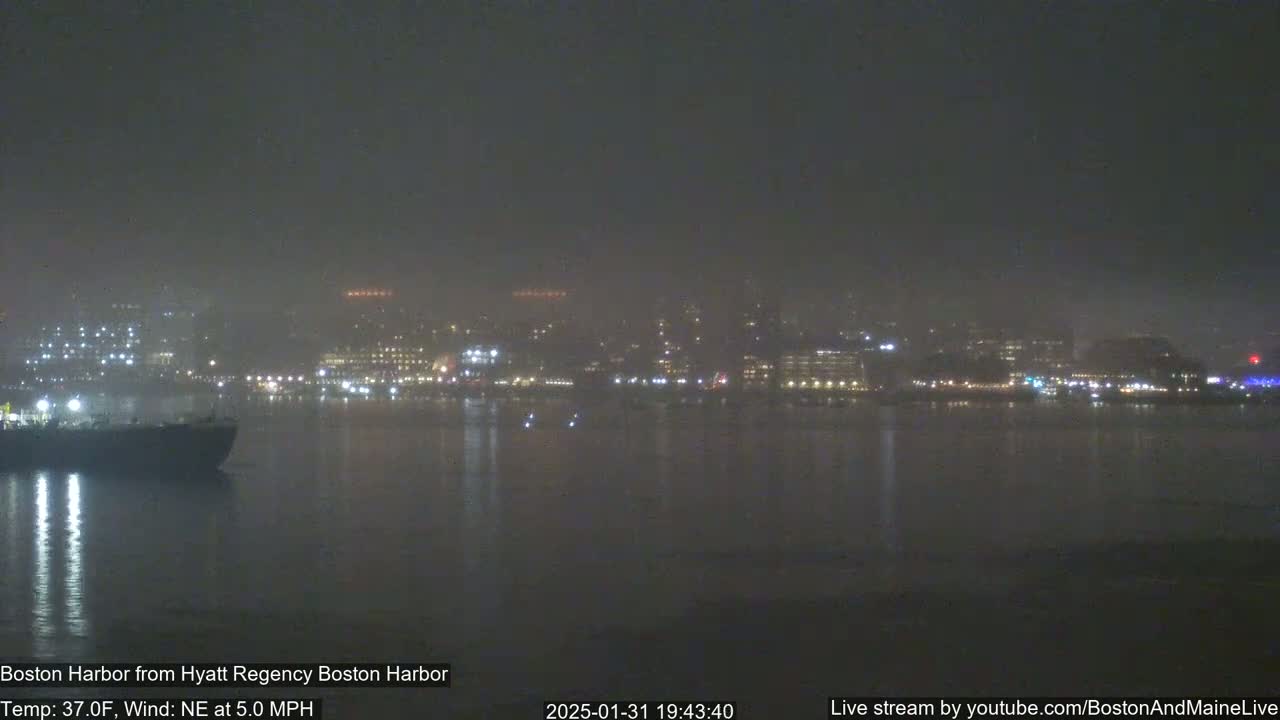 A foggy nighttime harbor scene shows a dark city skyline faintly lit with lights across the water, with a vessel in the foreground.