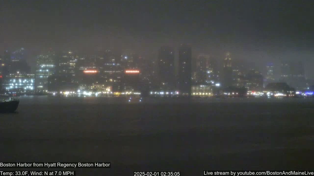 A foggy nighttime view of a city skyline across a body of water.