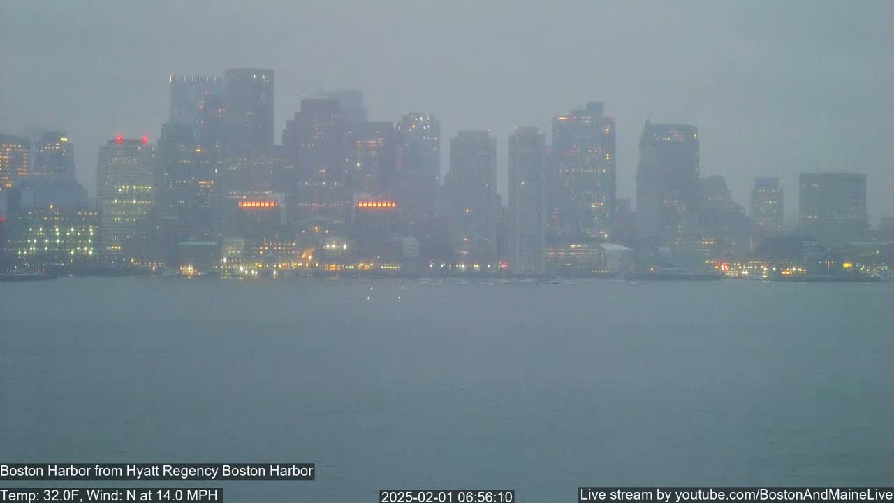 A hazy, dimly lit city skyline is visible across a body of water in snowy or overcast conditions.