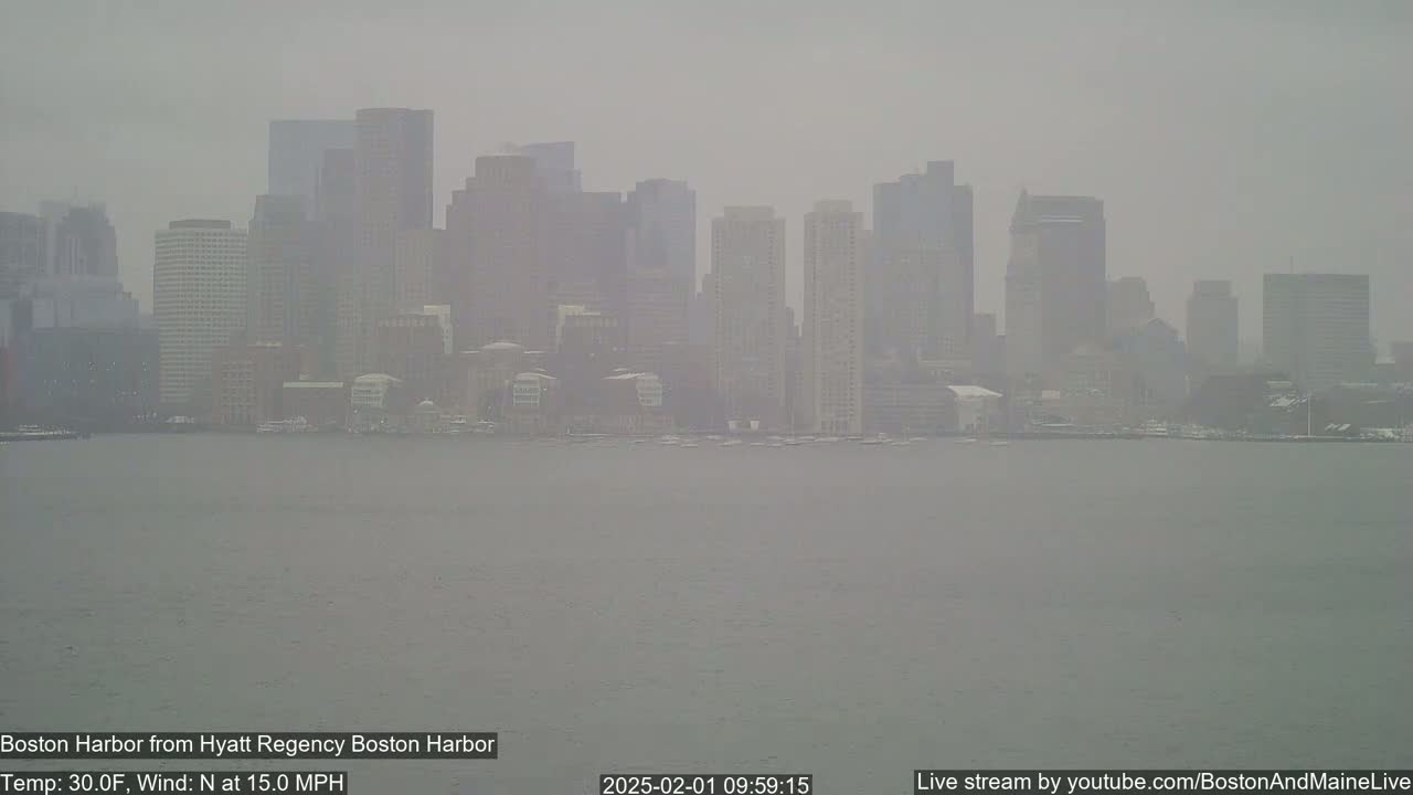 A hazy view of a city skyline across a body of water on a cold, windy day.