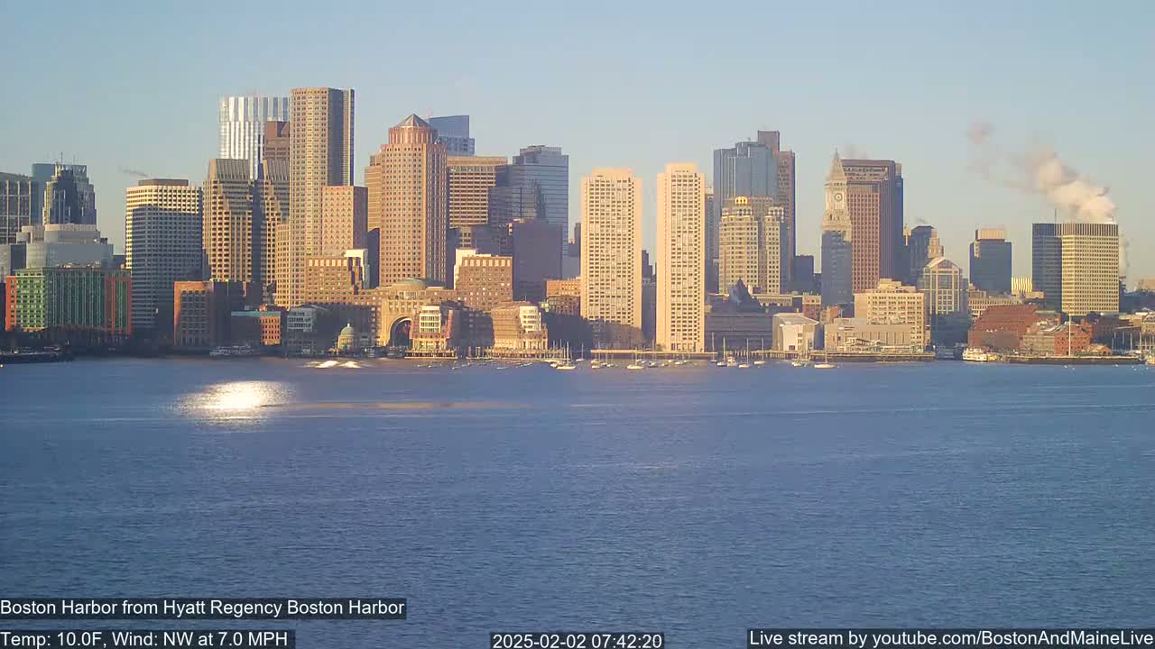 A cityscape of numerous skyscrapers sits on the far shore of a calm body of water under a clear, sunny sky.