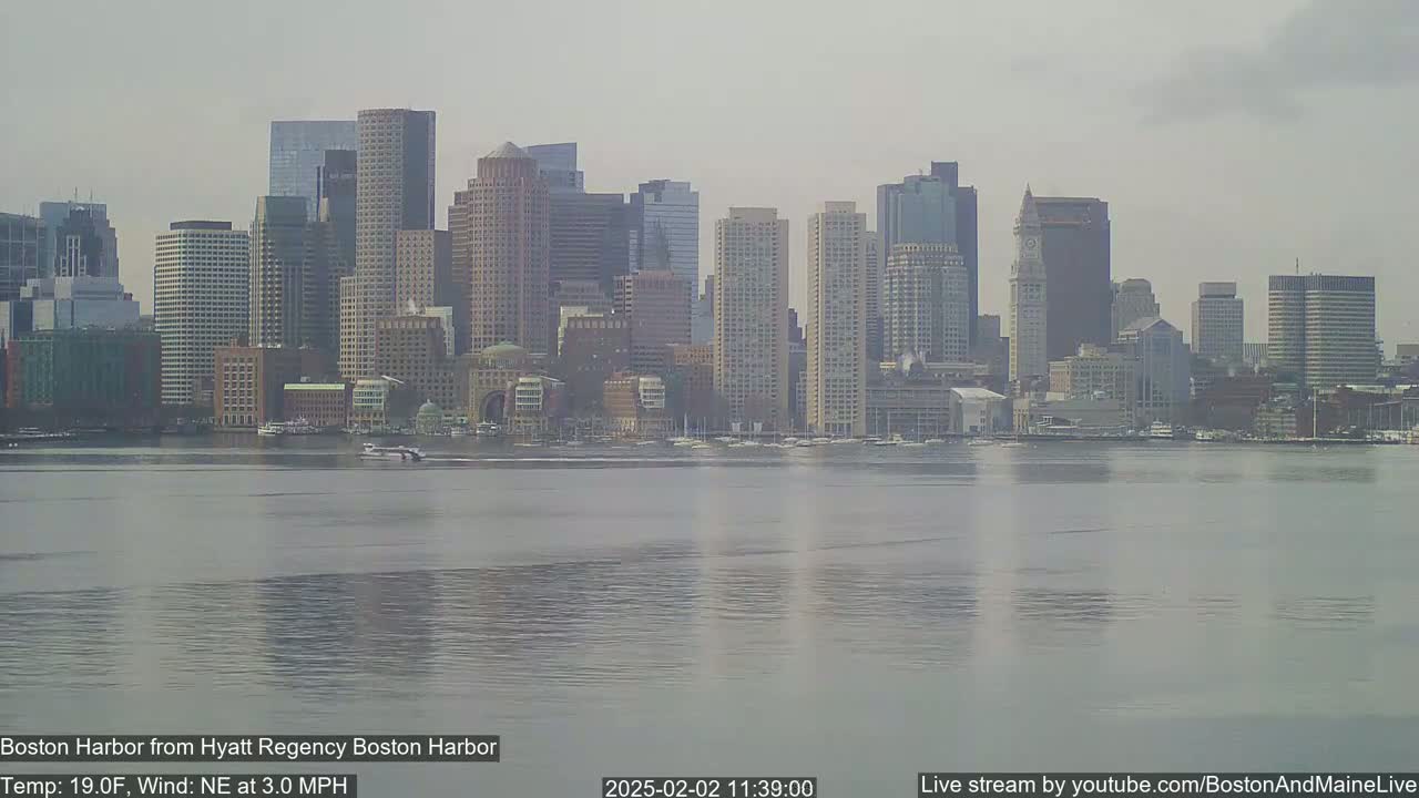 A city skyline with numerous tall buildings is seen across a body of calm water on a hazy, 19°F day with a gentle northeasterly wind.