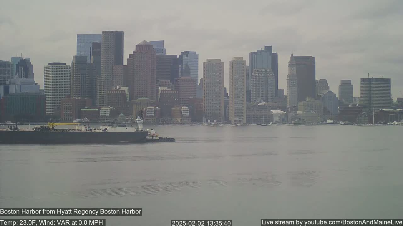 A tugboat pushes a barge on calm, gray water in front of a city skyline under an overcast sky.