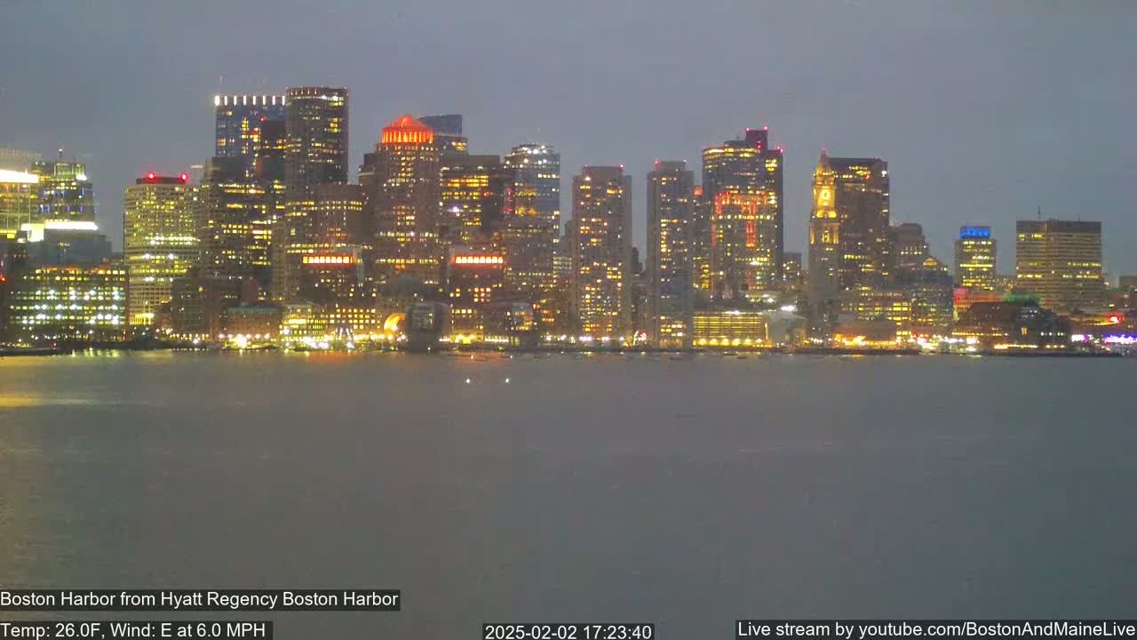 A brightly lit cityscape is seen across a body of calm water at night, under a dark, overcast sky.