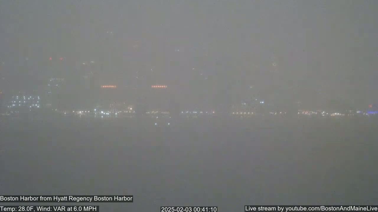 A hazy, dimly lit cityscape is barely visible across a body of water in foggy conditions.