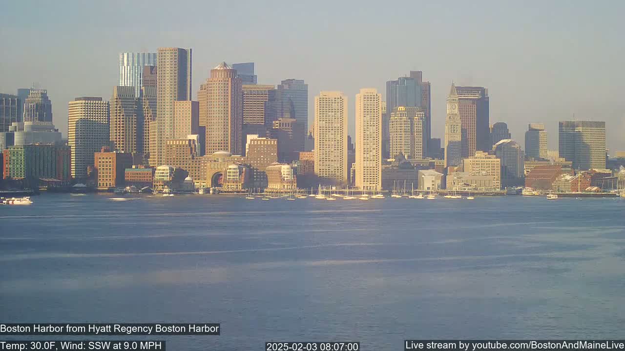 A city skyline of numerous skyscrapers and other buildings sits across a calm body of water under a clear, light-blue sky.
