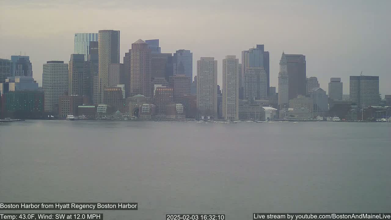A hazy view of the Boston skyline across a calm body of water under an overcast sky.