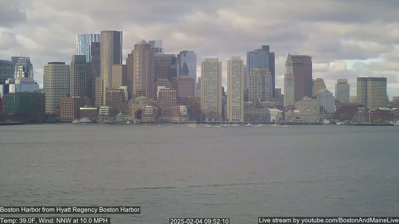 A city skyline with numerous skyscrapers is seen across a body of water under a cloudy sky.