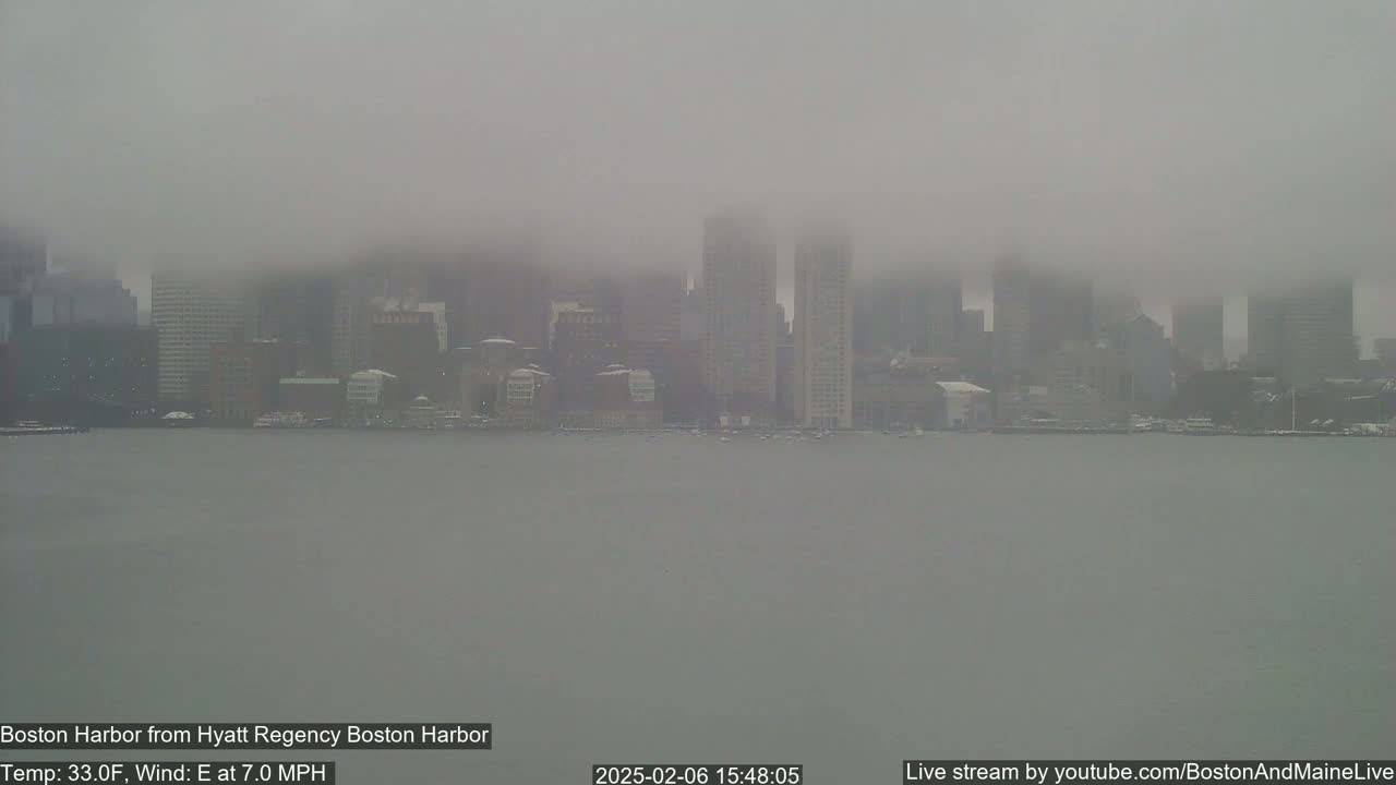A foggy cityscape is seen across a body of water.