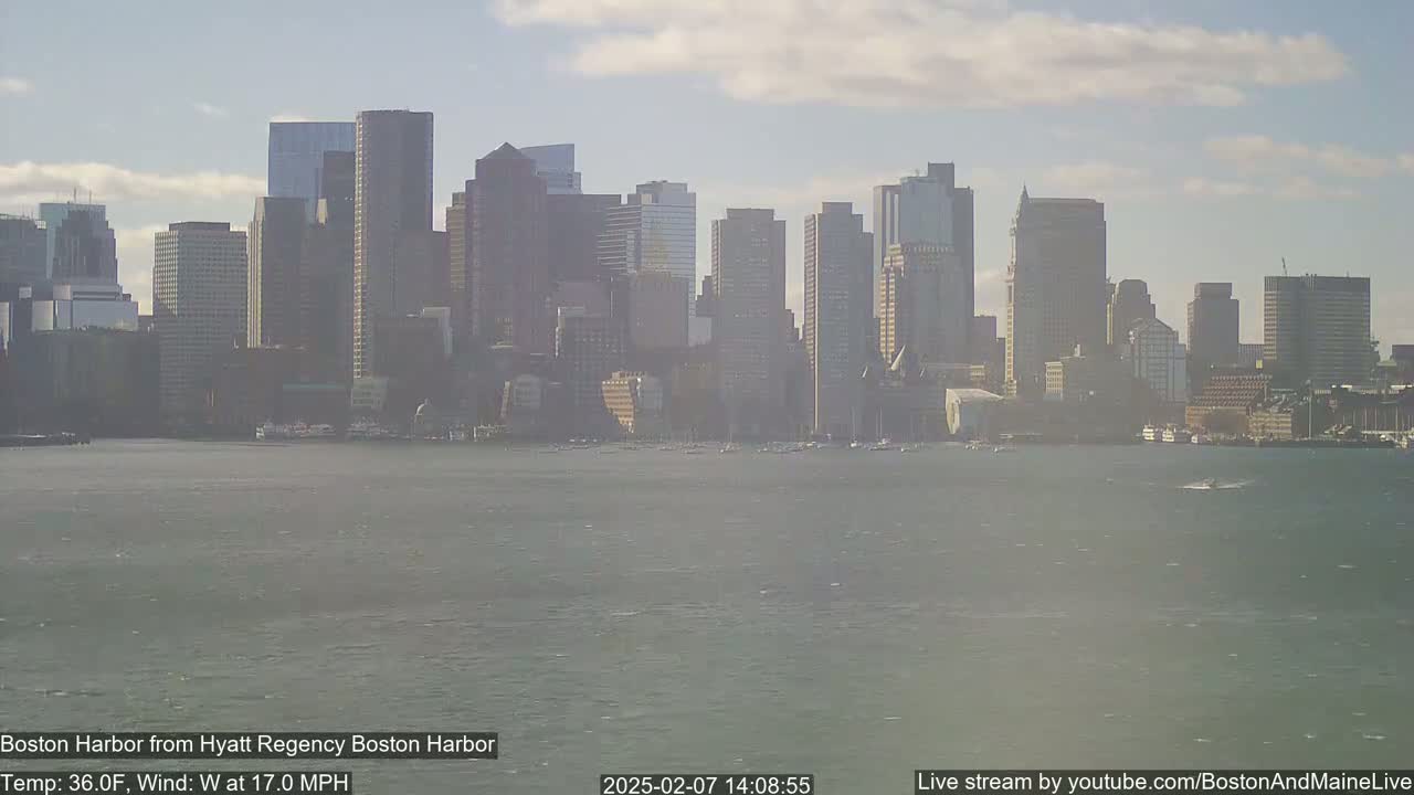 Boston Harbor, Massachusetts,  Live Cam - Boston