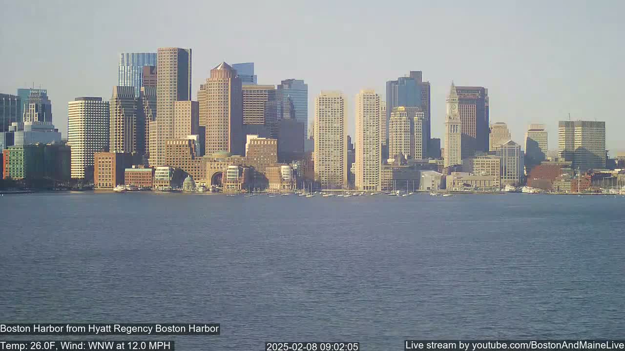 A city skyline with numerous skyscrapers and high-rise buildings is seen across a body of water on a sunny day with a 12 mph wind from the west-northwest.