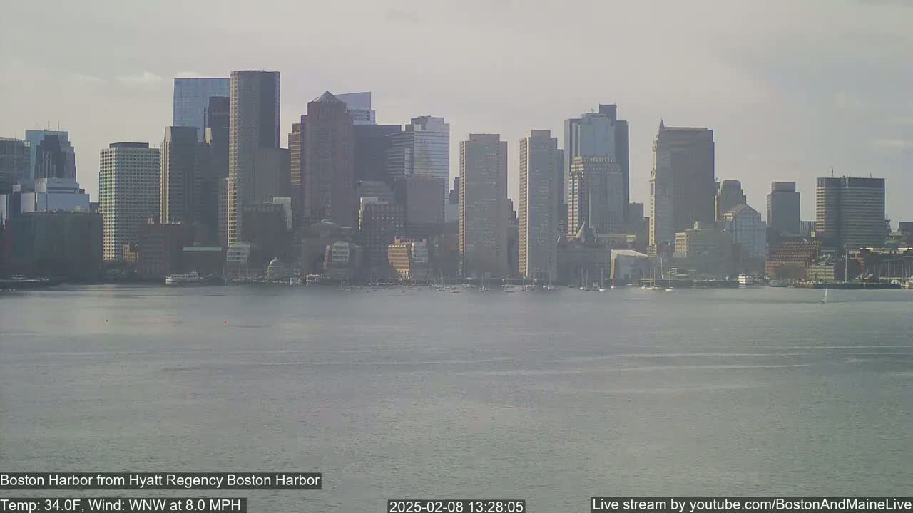A city skyline with numerous skyscrapers is seen across a body of water under a hazy sky.