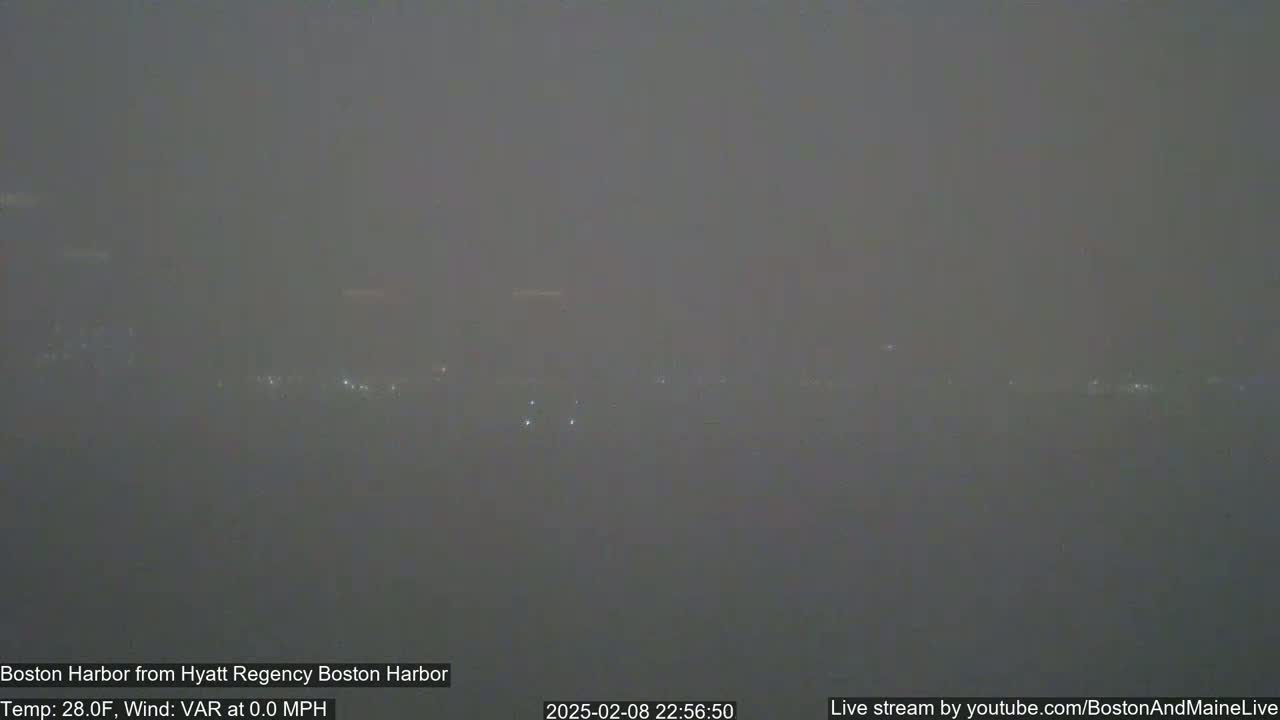 A hazy, nighttime view of a harbor with faint city lights in the distance.