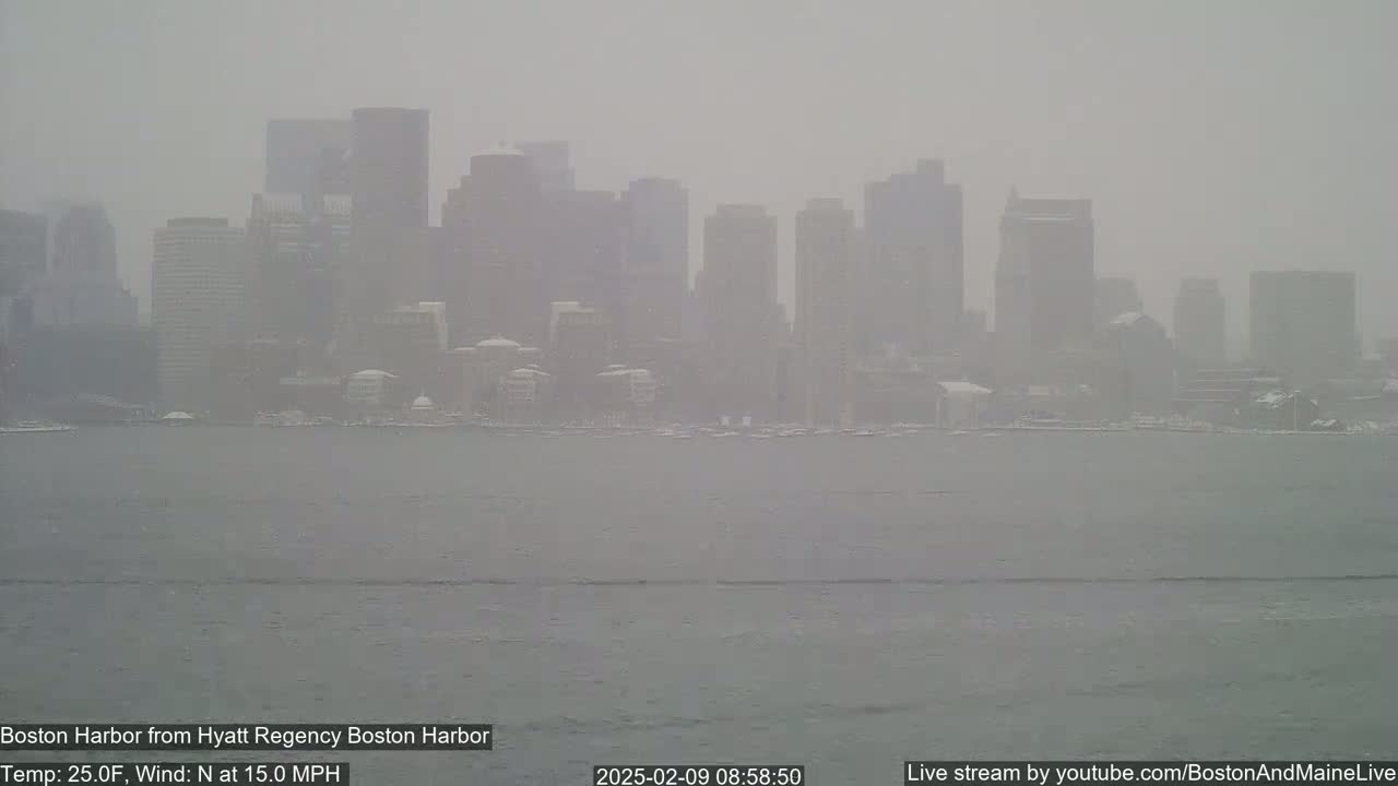 A snow-covered city skyline is visible across a harbor in snowy conditions with a north wind at 15 mph.
