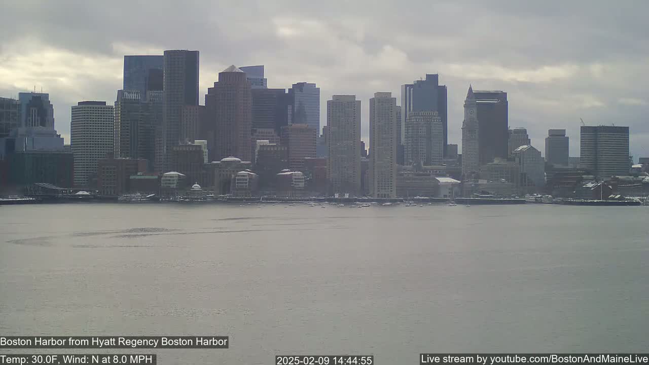 A city skyline, possibly Boston, is visible across a body of water under an overcast sky.