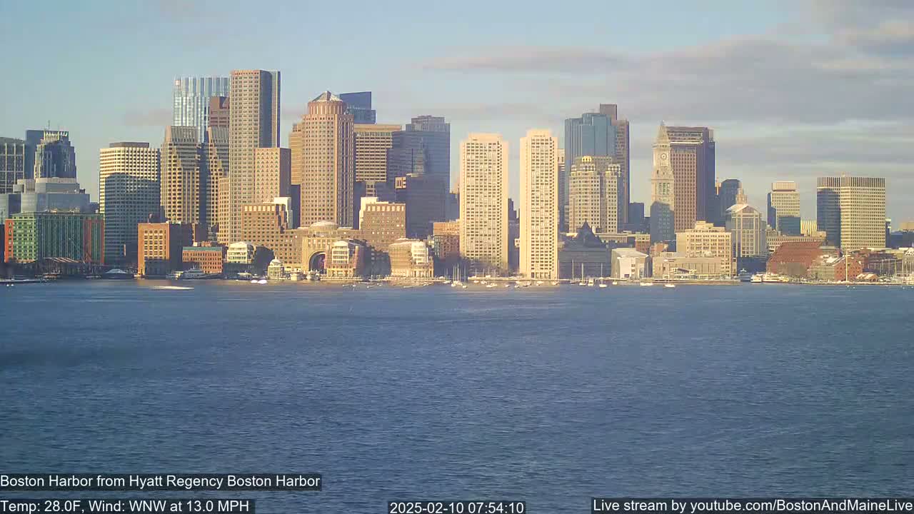 A city skyline with numerous skyscrapers is seen across a body of water under a mostly clear sky.