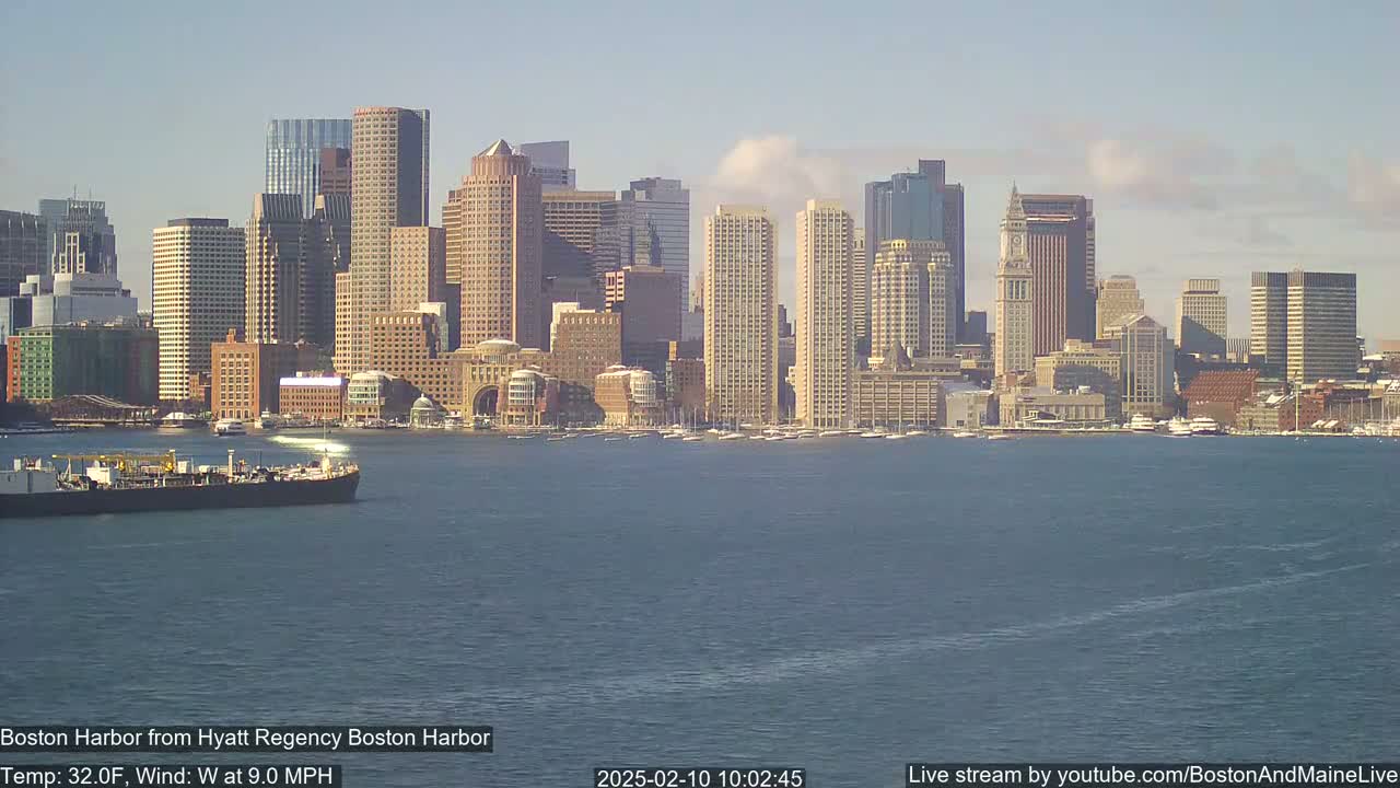 A large cargo ship is in the harbor in front of a city skyline under a mostly clear sky.