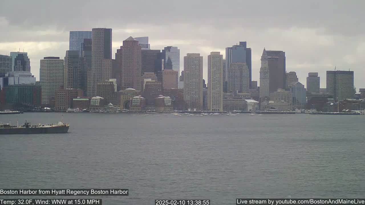 A distant view of a city skyline across a harbor on an overcast day with a wind of 15 mph.