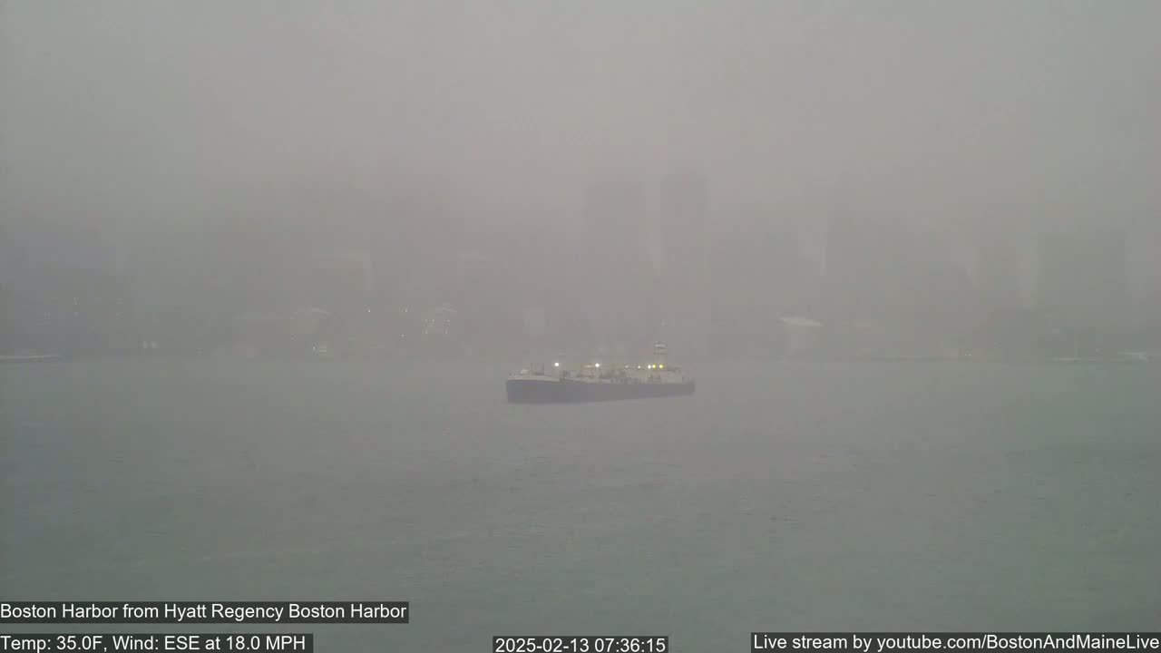 A barge is visible on a harbor shrouded in thick fog, with a city skyline faintly in the background.