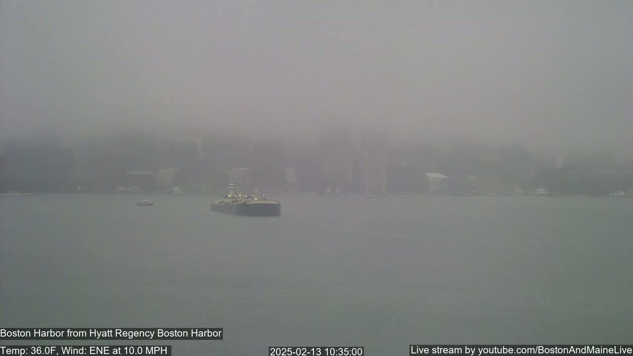 A barge is visible on a foggy harbor with a city skyline in the background, under windy conditions.