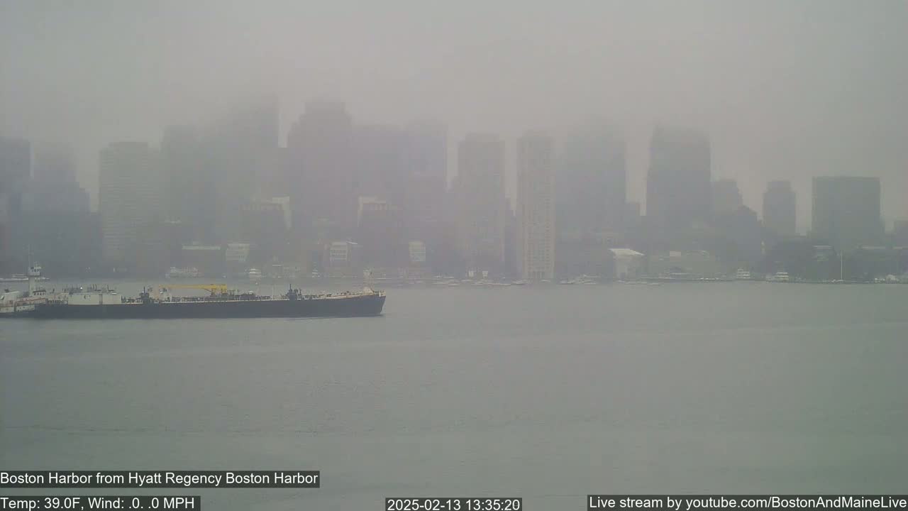 A barge sits on calm water in front of a hazy city skyline on a foggy day.